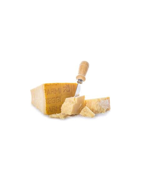 Queso Parmigiano Reggiano